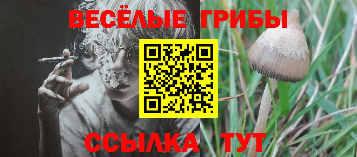 Каменск-Уральский  Псилоцибиновые грибы GOLDEN TEACHER  Вход с VPN  Псилоцибиновые грибы Magic Shrooms 
