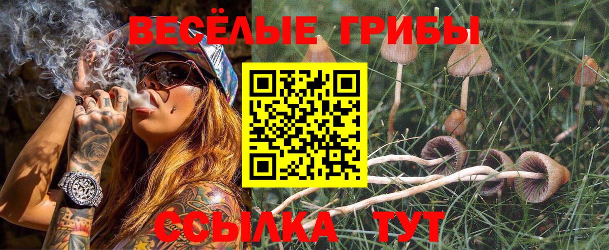 Галлюциногенные грибы прущие грибы Каменск-Уральский